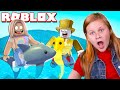 Roblox Adopt Me Assistant Opens Ocean Eggs  and Finds Legendary Shark