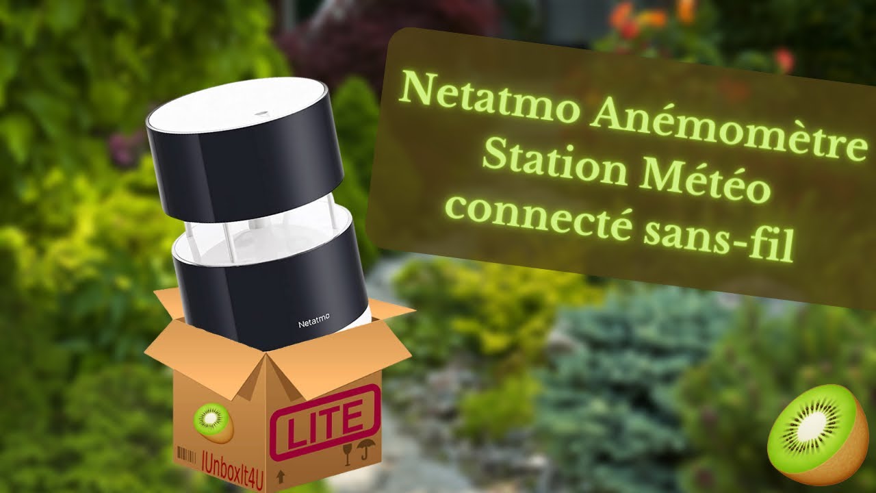 Netatmo Anémomètre connecté sans-fil pour la Station Météo Netatmo, NWA01-WW