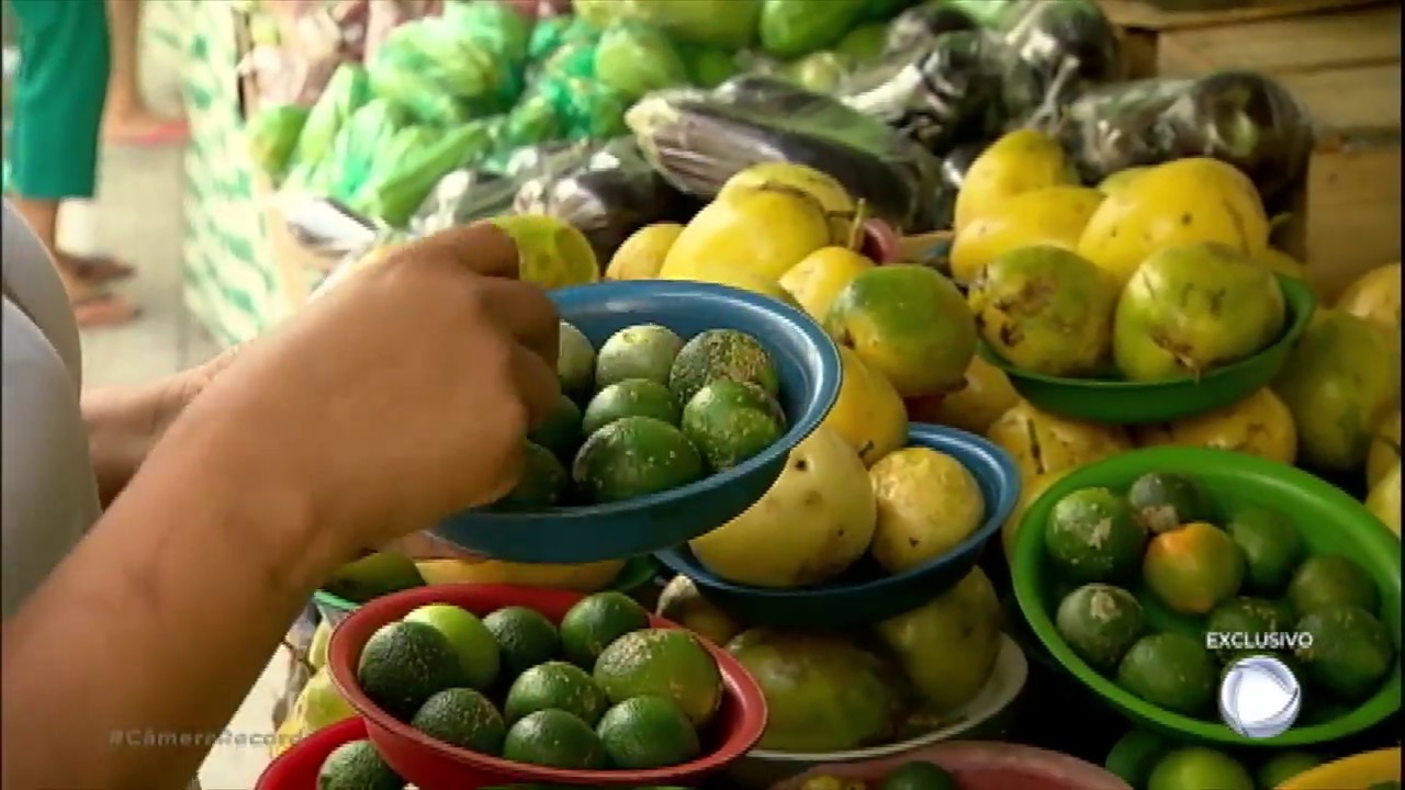 Teste do Instituto Biológico revela quais são os alimentos da feira com maior dose de agrotóxicos