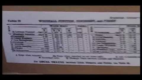 Tumby Woodside Pt12 – Little Steeping N Gauge Stn