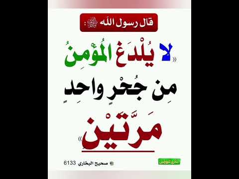 الحديث لا ي ل د غ 2 المؤمن من ج ح ر مرتين رواه الشيخان