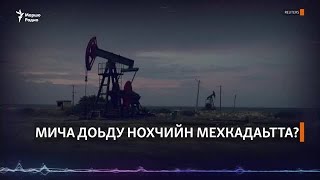 Мича доьду нохчийн мехкадаьтта?