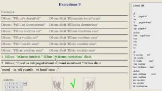 Lingua - 21.3 - Exercise Tutorial