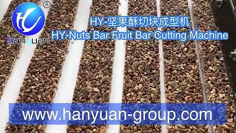 Nuts Bar Cutting Machine Nuts Bar Forming Machine Nuts Fruit Bar Production Line