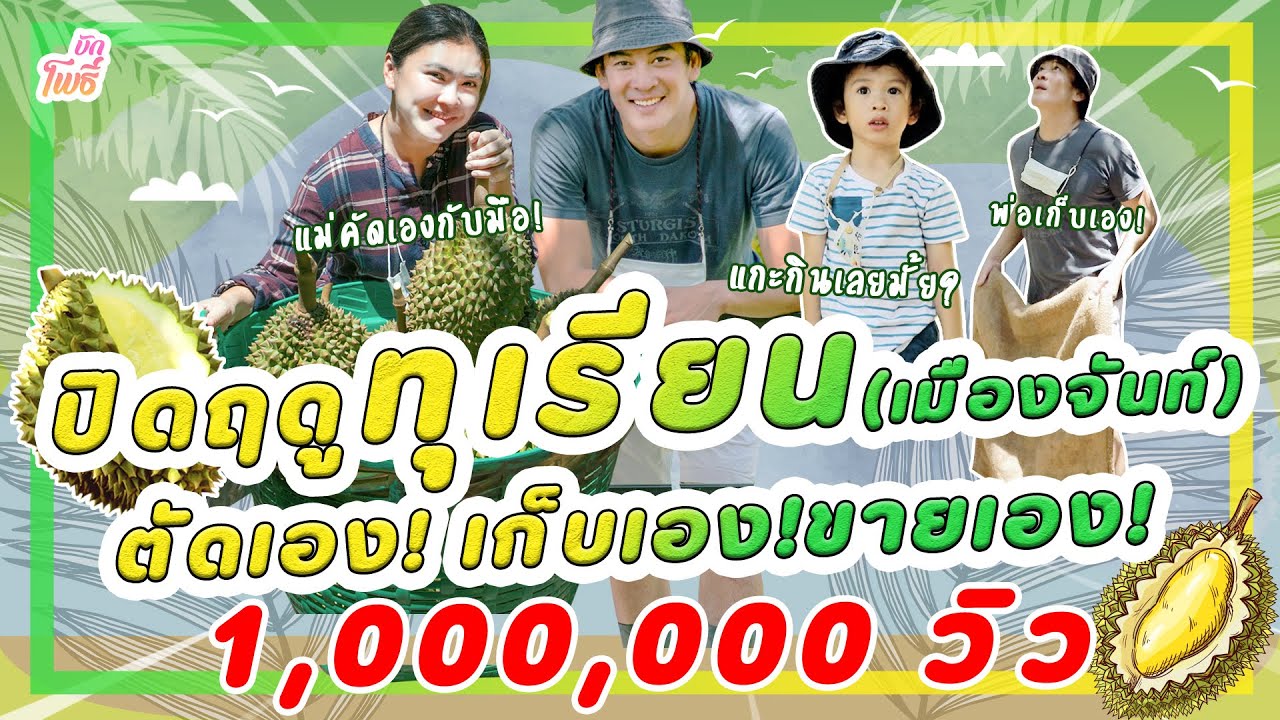 ปิดฤดูทุเรียนเมืองจันท์ ล๊อตสุดท้าย!! I คริตอินสวน