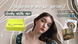 Неделя влогов💫: учёба в меде на клинического психолога, study with me, адвент-календарь, рутина