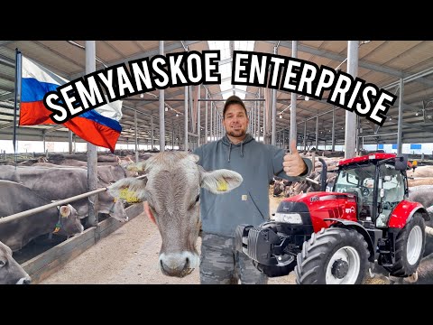 MODERN RUSSIAN DAIRY FARM!!!