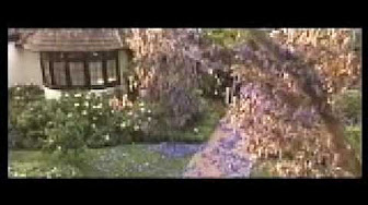 奇蹟の輝き Youtube