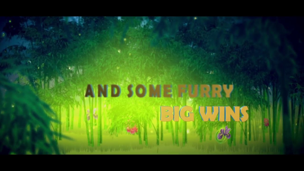 Little Panda slot by Endorphina