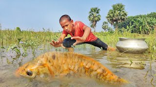 Best Hand Fishing Video 2023✅ || Smart Boy Hunting Fish By Hand From Paddy Fields Water fishinglife