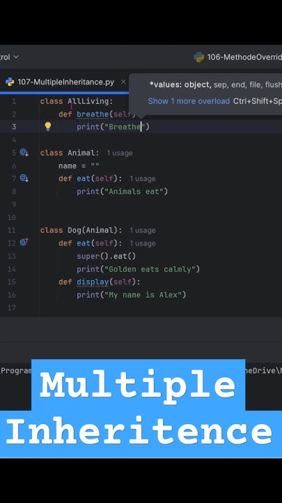 Python Multiple Inheritance Explained in 20 Seconds! 🐍 #Shorts - YouTube