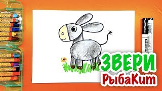 Учимся рисовать ОСЛИКА / Урок рисования для детей от РыбаКит Учимся рисовать ОСЛИКА / Урок рисования для детей от РыбаКит