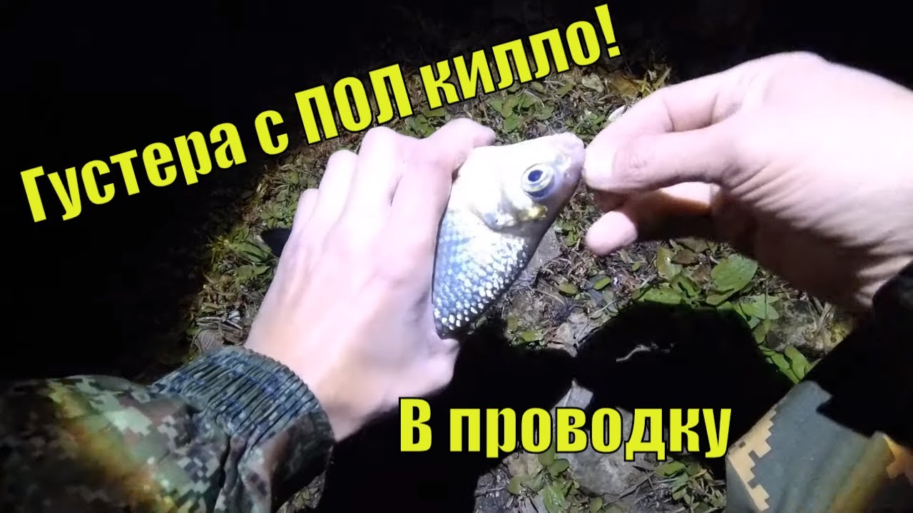 Ночная рыбалка на оке