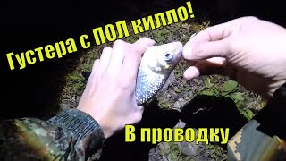 Рыбалка на удочку ночью.Да вообще не КЛЕВАЛО!
