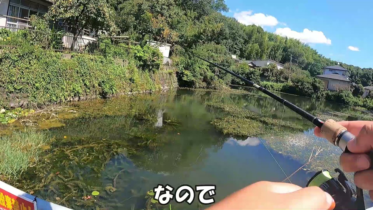 熊本 バス 釣り 野池