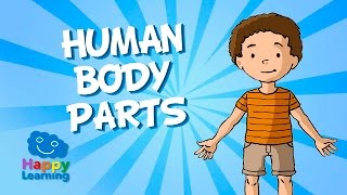 Aprende Inglés. Las Partes del Cuerpo Humano en Inglés. Videos Educativos para Niños