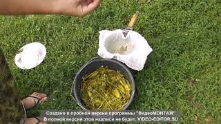 КВАШЕНЫЕ ОГУРЦЫ КАК БОЧКОВЫЕ на длительное хранение