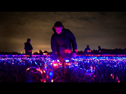 20,000m2 GROW by Roosegaarde highlights the beauty of agriculture. [Official Movie]