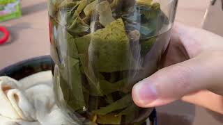 クズの葉で草木染め