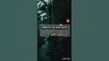القرآن الكريم سورة النصر