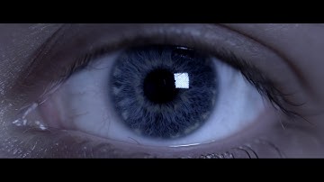 Kamino - Want To (Music Video)