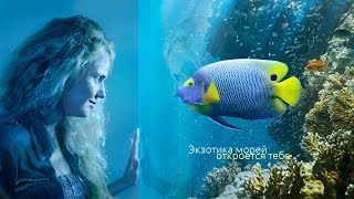 аренда аттракциона виртуальной реальности томск screenshot 3