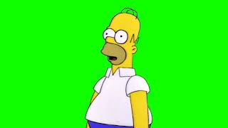 Chroma Key Homer Simpson “Oh, okay ” The Simpsons Green Screen