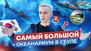видео: Самый большой океанариум в Сеуле,Южная Корея,COEX Aquarium inside the COEX Mall in Seoul,South Korea картинка: Самый большой океанариум в Сеуле,Южная Корея,COEX Aquarium inside the COEX Mall in Seoul,South Korea