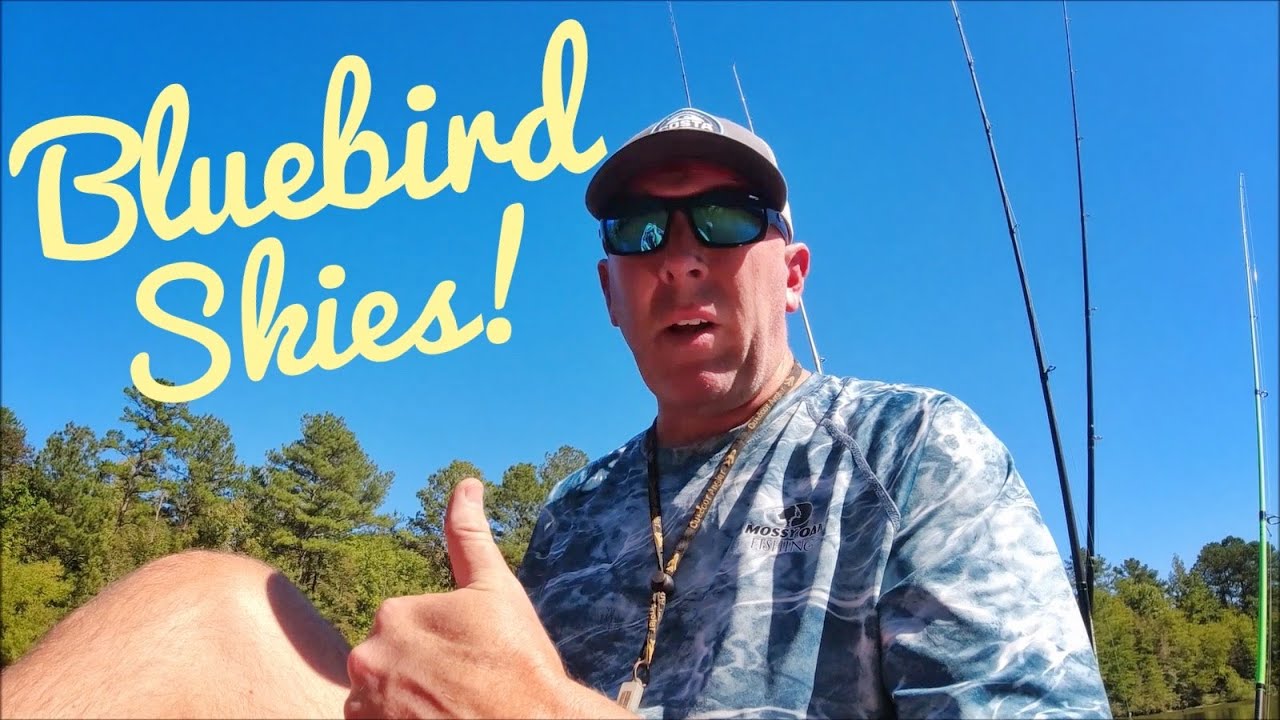 Bluebird Skies! Let's Catch a Bass Or Few!