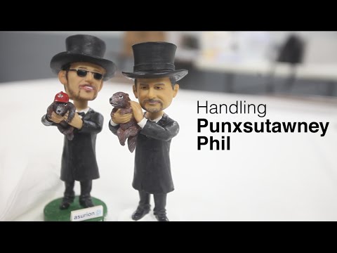 Video: Phil Groundhog Punxsutawney Tidak Memiliki Apa-apa tentang 7 Hewan Prognostik ini