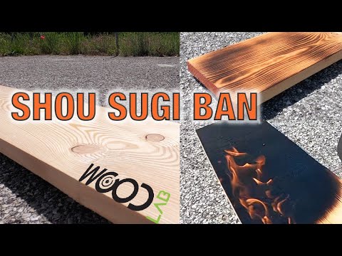 Video: Trattamento del legno con il fuoco: i pro ei contro