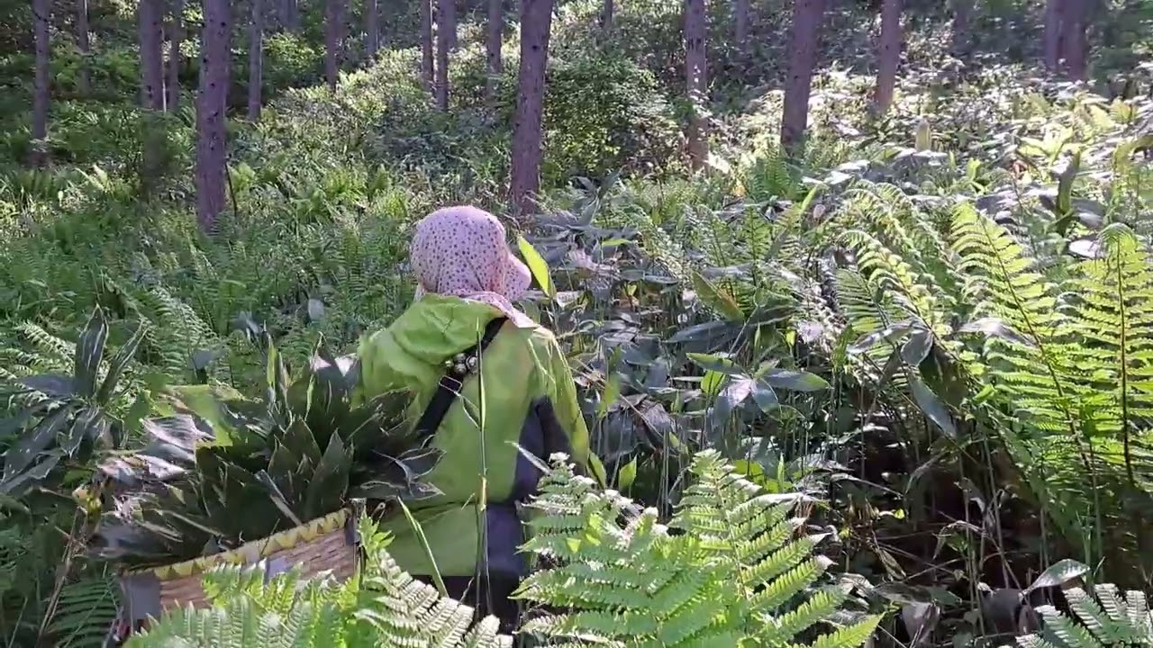sasa様　30枚 信州発｜天然クマザサを使用した基礎化粧品 SASA SHIZUKU｜マクアケ