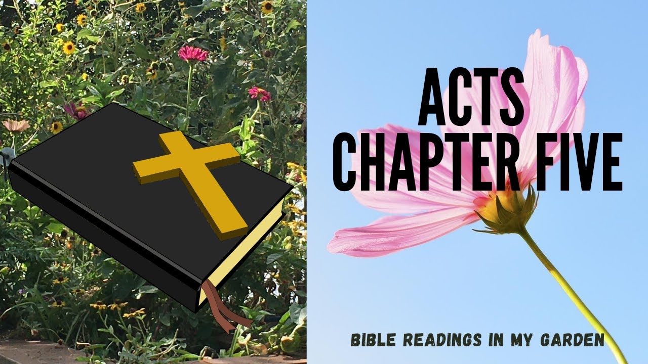 ACTS Chapter 5 NRSV Bible YouTube