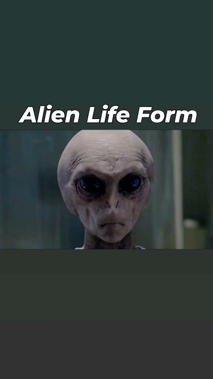 Alien | Life Form - YouTube
