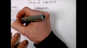 Cell Differentiation