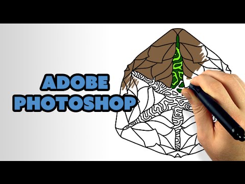 How To Color Line Art with Photoshop CC