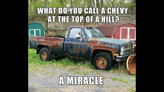 Youth Truth - Bird, Cow, And Trust