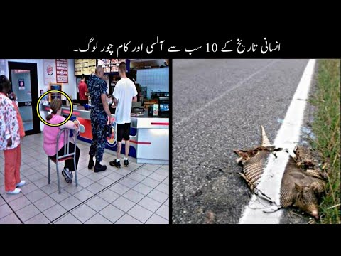 10 Most Lazy People In The World Urdu | دنیا کے سب سے آلسی لوگ | Haider Tv