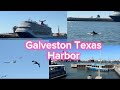 The beauty of Galveston Texas.