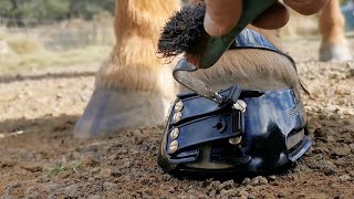 How to put on a Scoot Boot