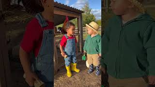 A dinosaur or a rooster? 🦖🐓 The cutest argument!