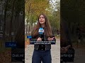 Beskućništvo u Njemačkoj – teško od ulice do stana