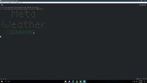 CLI Project walkthrough | with FlatIron School