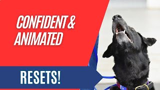 Competition Obedience  Focused and Engaged Resets