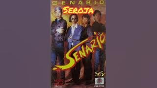 SENARIO MALAYSIA _ SEROJA (1994) bukan - FULL ALBUM