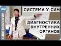 У-СИН. Диагностика внутренних органов. Прикладная кинезиология. Проф. Л.Ф.Васильева