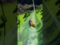 Who Allowed This Waterslide LOL - Planet Coaster 2 #waterslide #waterpark #shorts