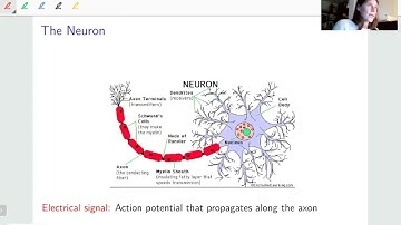 DSA2021.1 - Professor Gemma Huguet (UPC) -  Introduction to Mathematical Neuroscience   Lecture 1