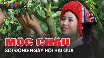 Cao nguyên Mộc Châu sôi động trong ngày hội hái quả