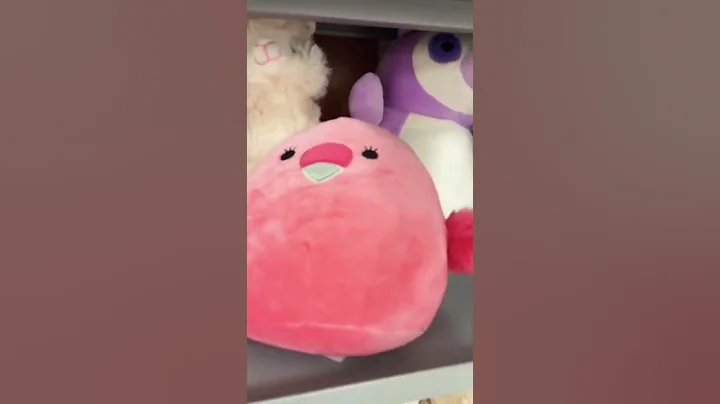 Squishmallows | Soft Plush Toys| Tjmaxx finds #shorts